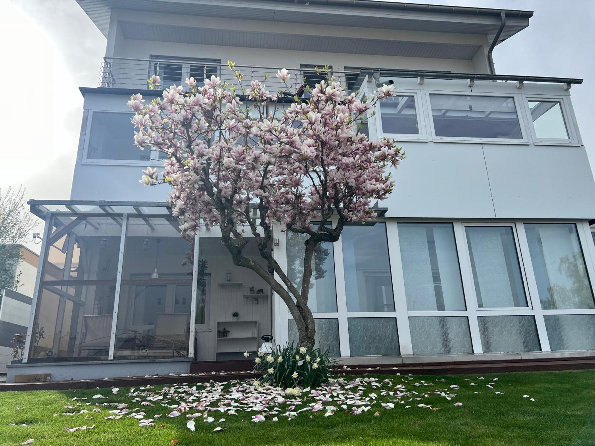 Ferienwohnung Schwarzwald Lodge Schömberg المظهر الخارجي الصورة